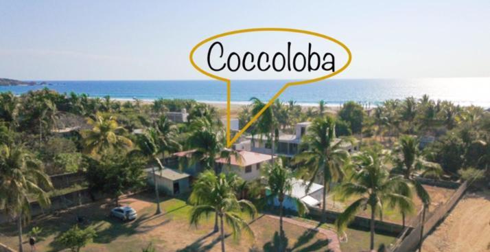 Coccoloba Guest House Puerto Escondido  Ngoại thất bức ảnh